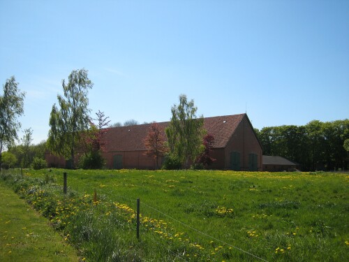 Pig Farming in Denmark - Danish Exports