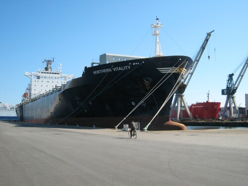 Container Ship in Frederikshavn - Northern Vitality
