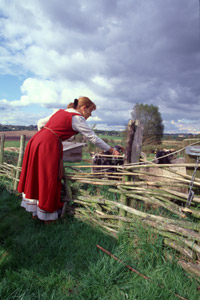 Viking Village